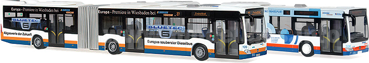 Record Run Buses 2012 modellbus info